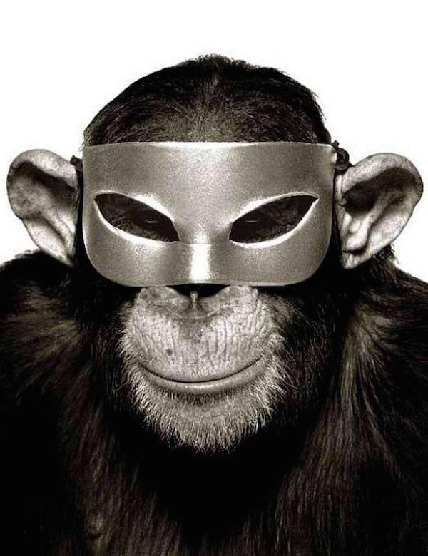 Albert Watson Monkey with Mask