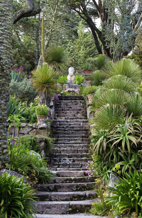 Paradise Found - Gardens of Enchantment by Clive Nichols, published by teNeues. Tresco Abbey, Isles of Scilly, United Kingdom