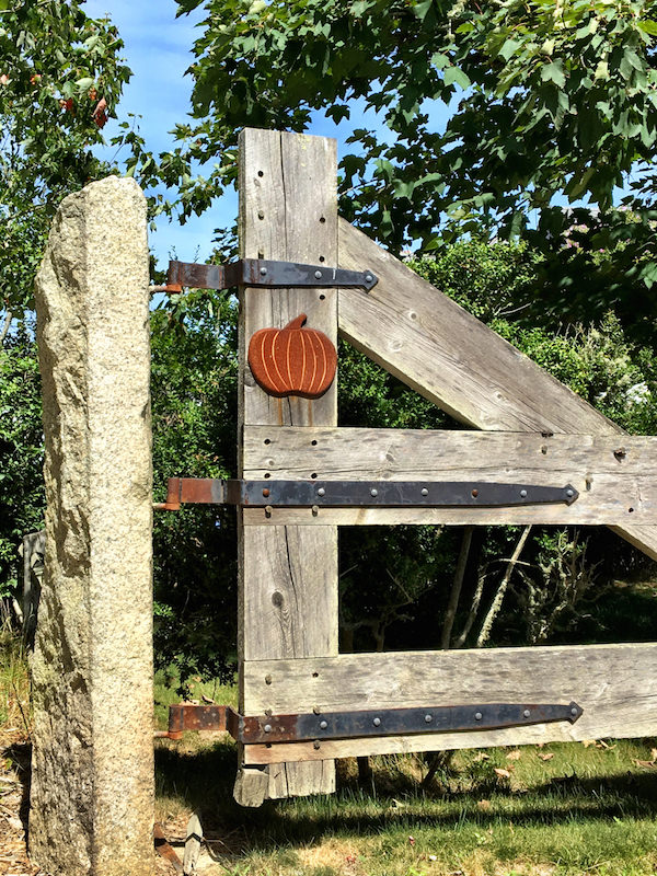 Five Favorite Finds - Pumpkin Pond Farm on Nantucket
