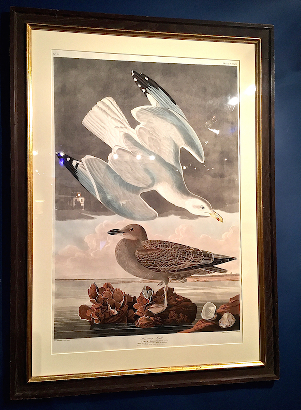 Audubon at Antiques & Design Show of Nantucket