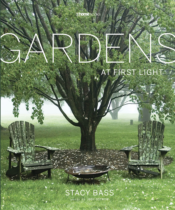 Gardens At First Light Cover