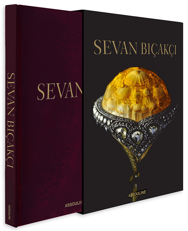 Sewvan Biçakçi book