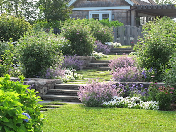 The Good Garden romantic steps
