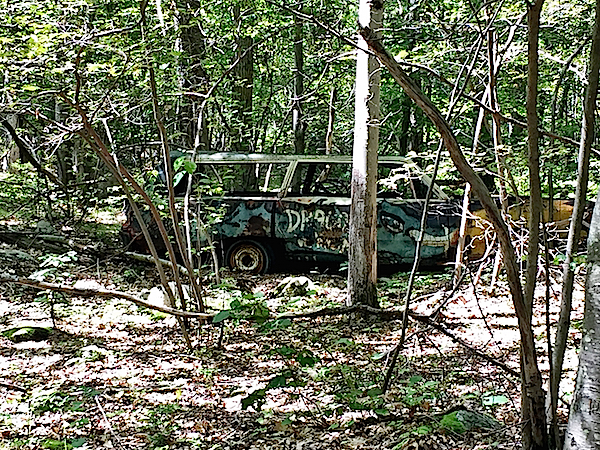 car in woods at Michael Bruno's Tuxedo Park house