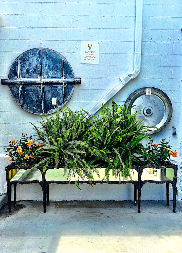 planter and ferns at antique and artisan gallery