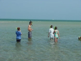 eco investigators snorkeling