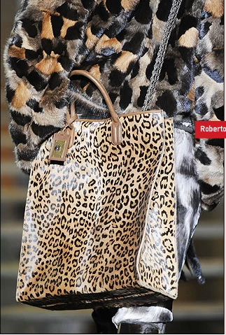 roberto cavalli