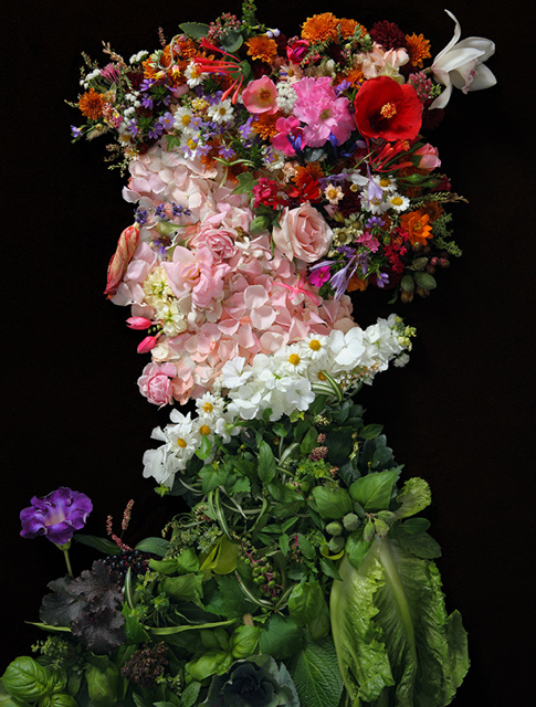 Klaus Enrique Gerdes photography - Arcimboldo