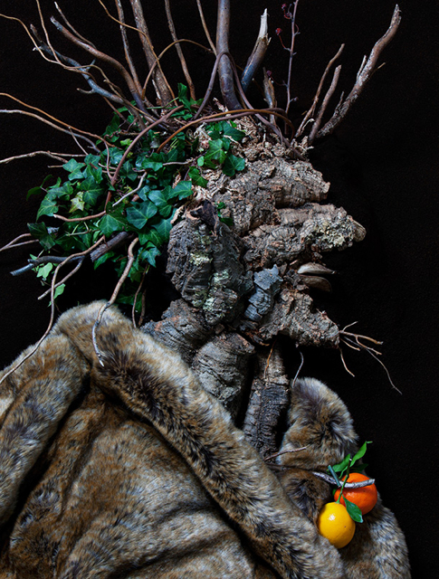 Klaus Enrique Gerdes photography - Arcimboldo