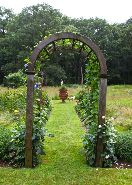 Country Charm In The Garden - Quintessence