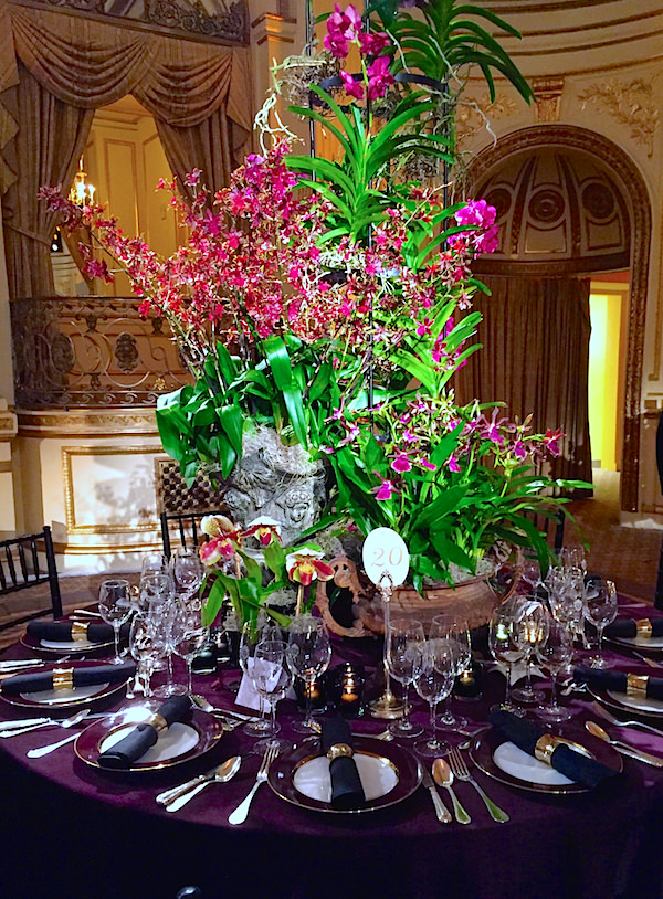 New York Botanical Garden 2016 Orchid Dinner - Quintessence