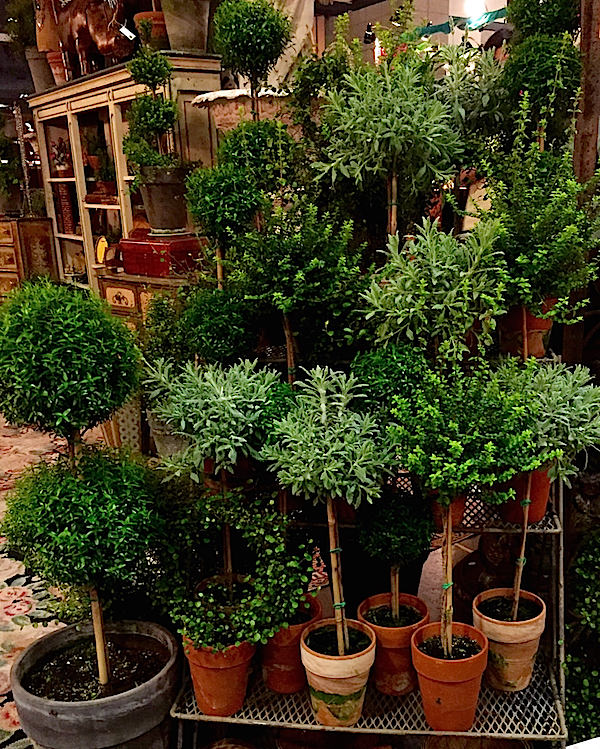 Topiaries at the Antiques & Garden Show of Nashville