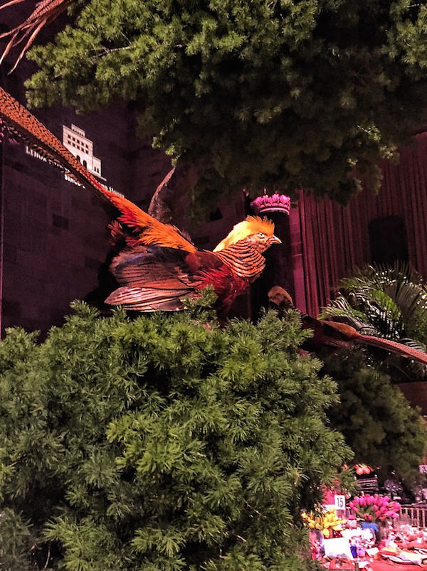 Bird in bonsai tree at Alex Papachristidis Lenox Hill table