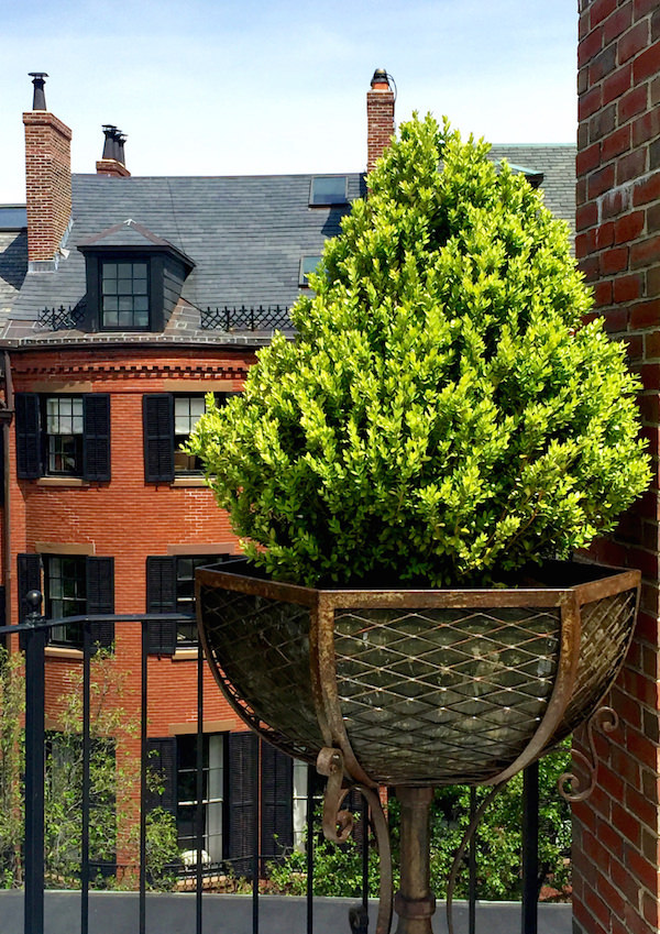 Boston rooftop terrace