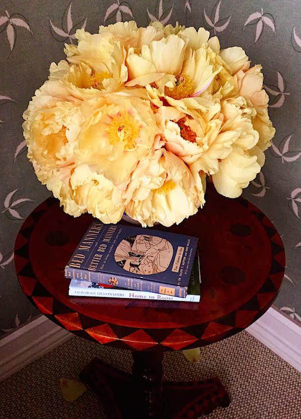 chinese tree peonies in slipper chair in Olasky & Sinsteden Kips Bay guest bedroom