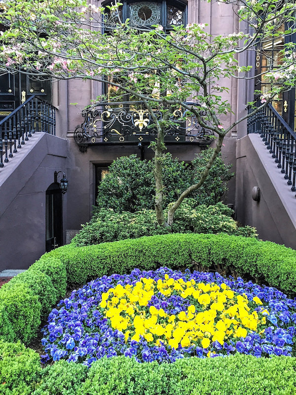 flowers in Beacon Hill