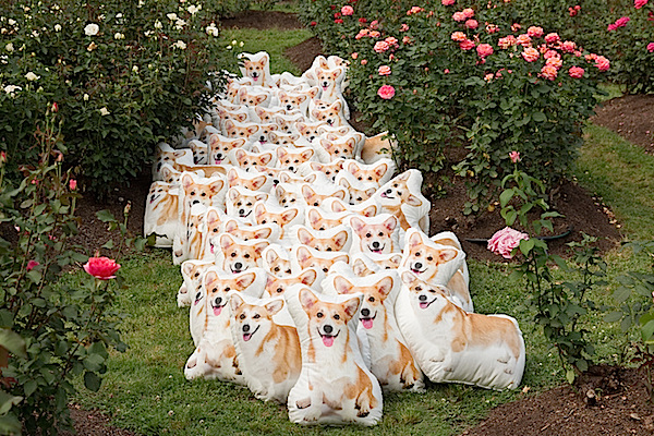 Spoonflower Queen Elizabeth corgi pillows