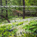 New York Botanical Garden Celebrates 125 Years Quintessence