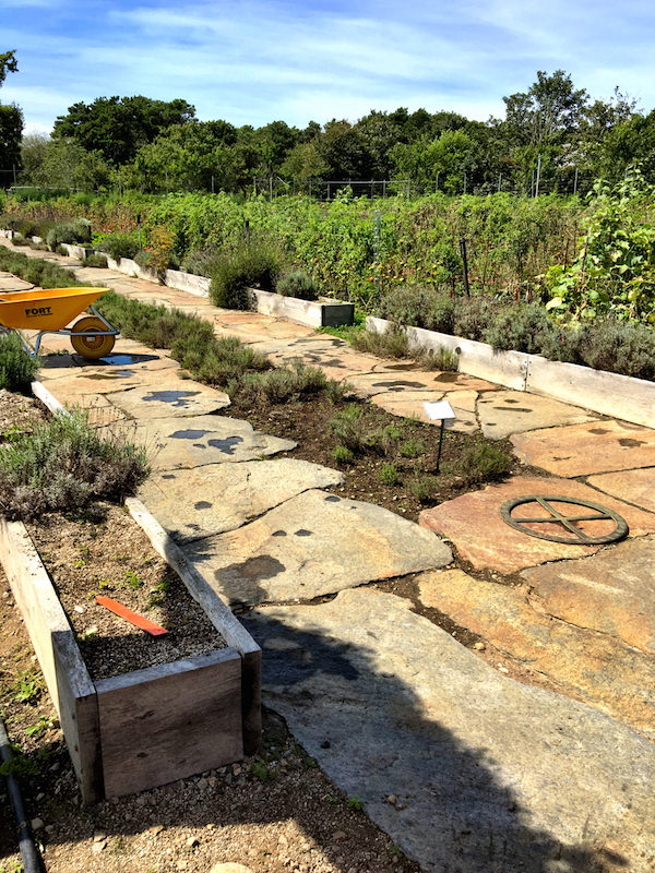 Appian Way at Pumpkin Pond Farm Nantucket