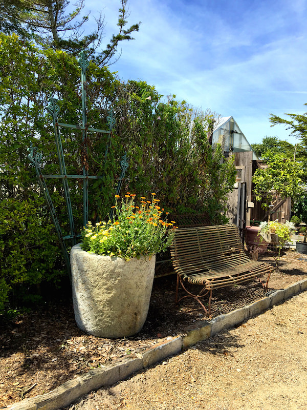 Gardens at Pumpkin Pond Farm Nantucket