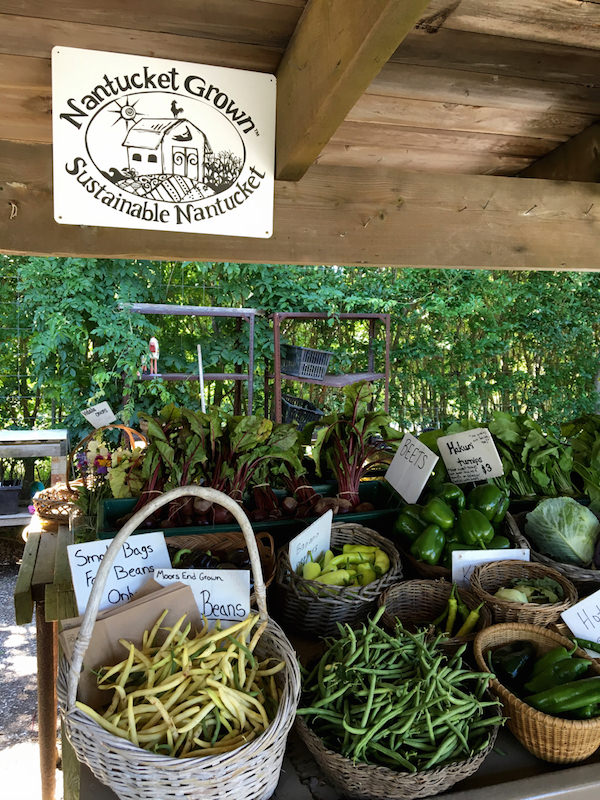 Moor's End Farm Nantucket