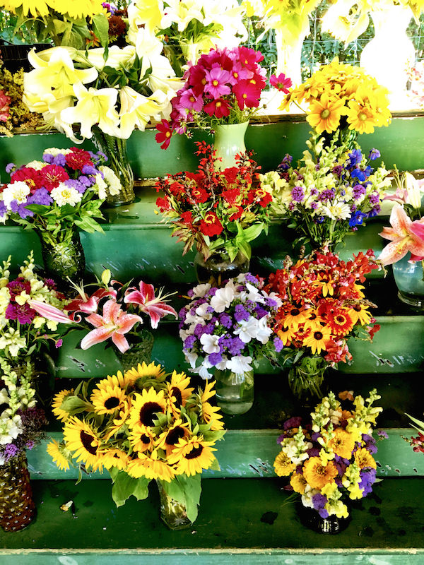 Moor's End Farm flowers