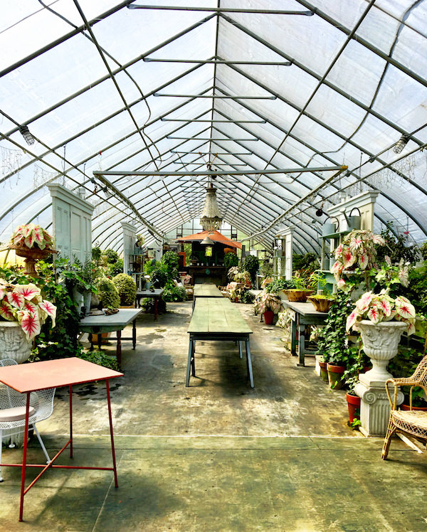 Pumpkin Pond Farm event greenhouse