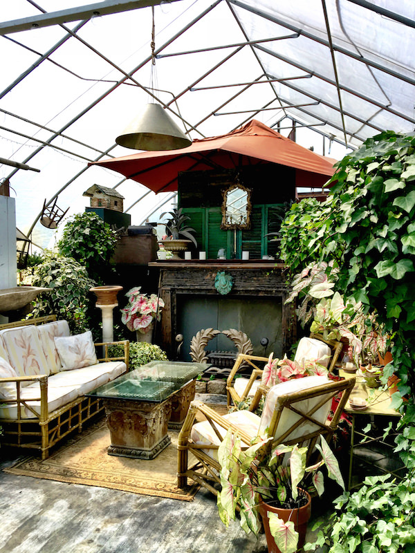 greenhouse at Pumpkin Pond Farm