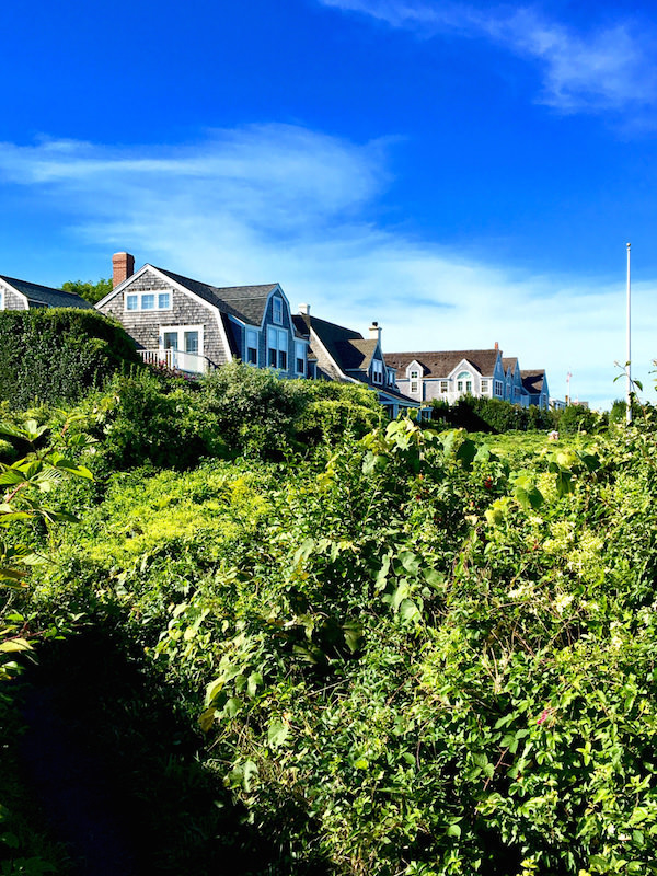 Sconset bluff Nantucket