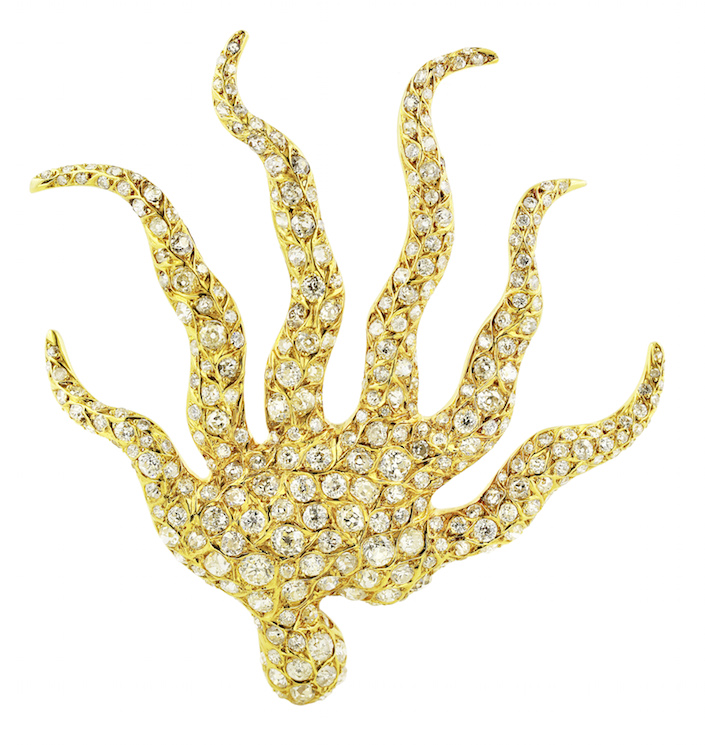 James de Givenchy Sea Anemone brooch in Jeweler by Stellene Volandes