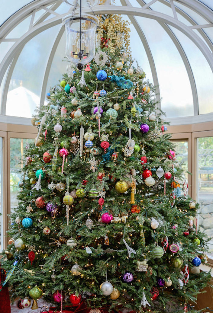 Carey Karlan Christmas tree in her conservatory