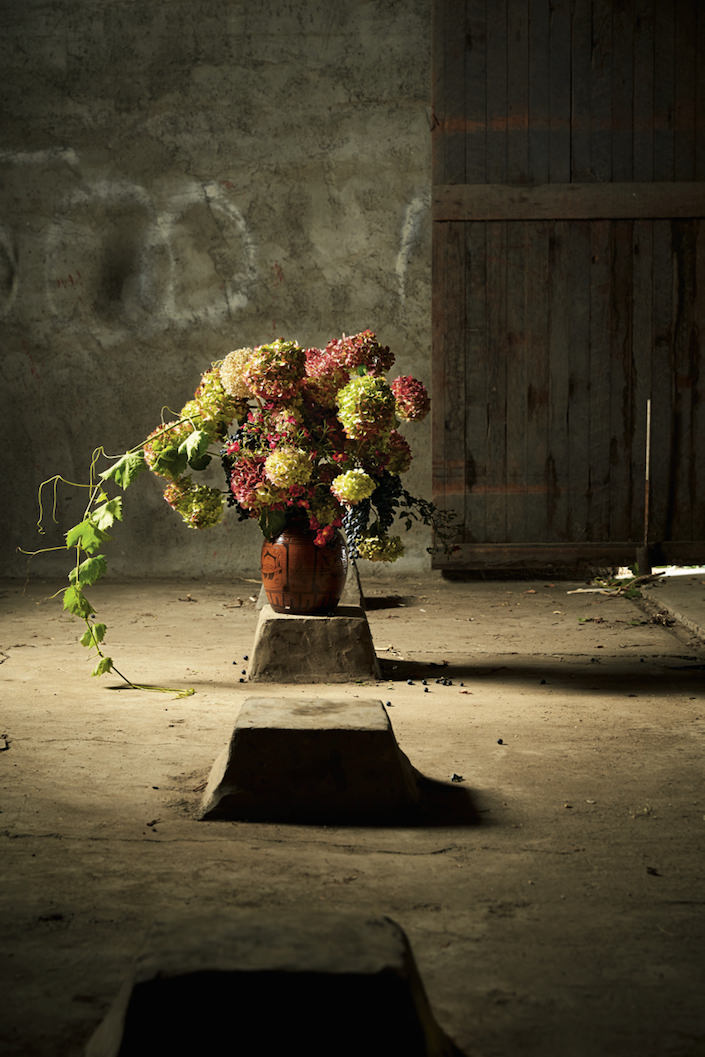 Foraged Flora hydrangea-1