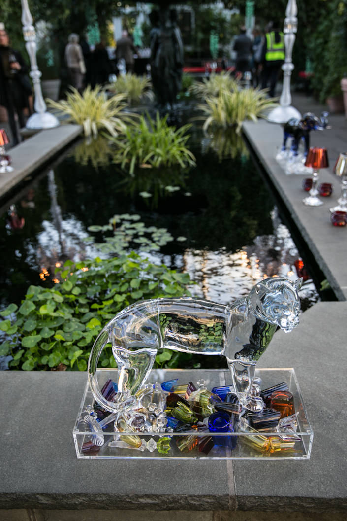 Baccarat at the NYBG 2017 Orchid Show