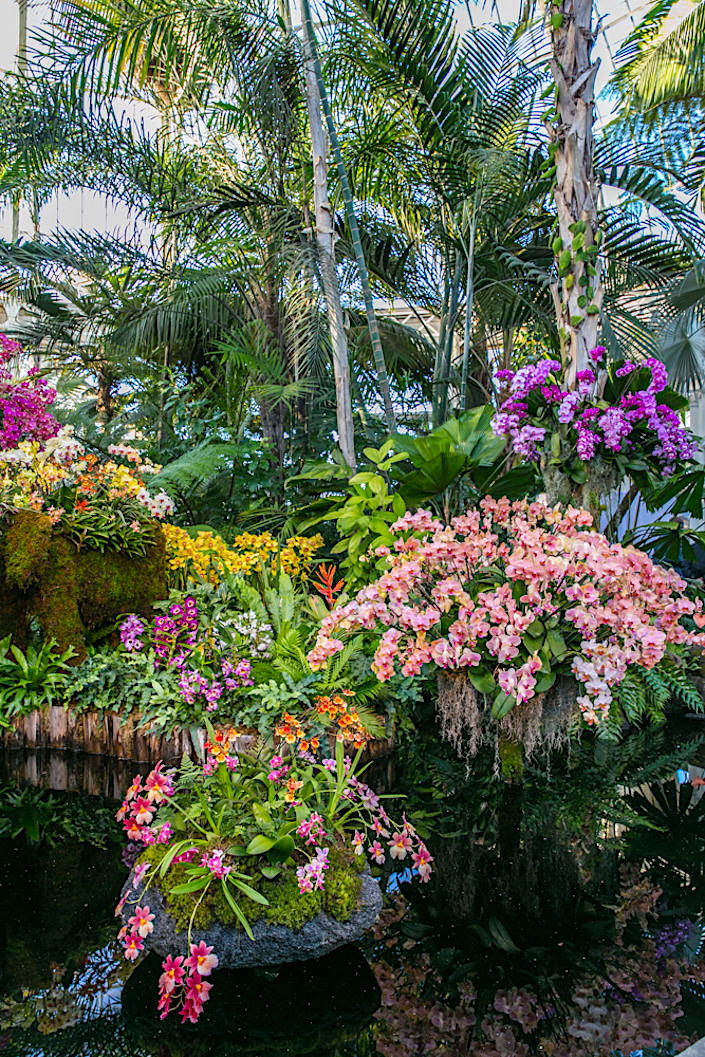 Display at the 2017 Orchid Show at the NYBG