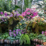 Elephant topiaries at the NYBG 2017 Orchid Show
