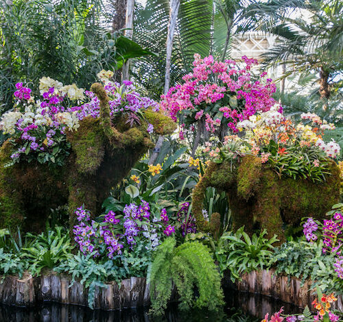 Elephant topiaries at the NYBG 2017 Orchid Show