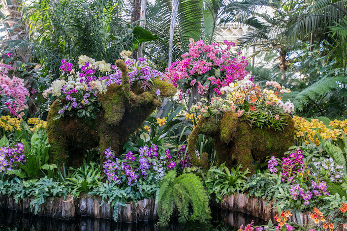 Elephant topiaries at the NYBG 2017 Orchid Show