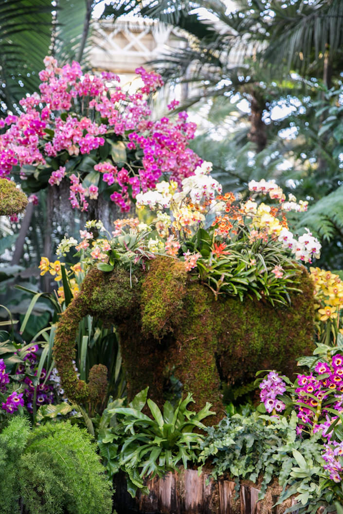 Elephant topiary at the New York Botanical Garden 2017 Orchid Show