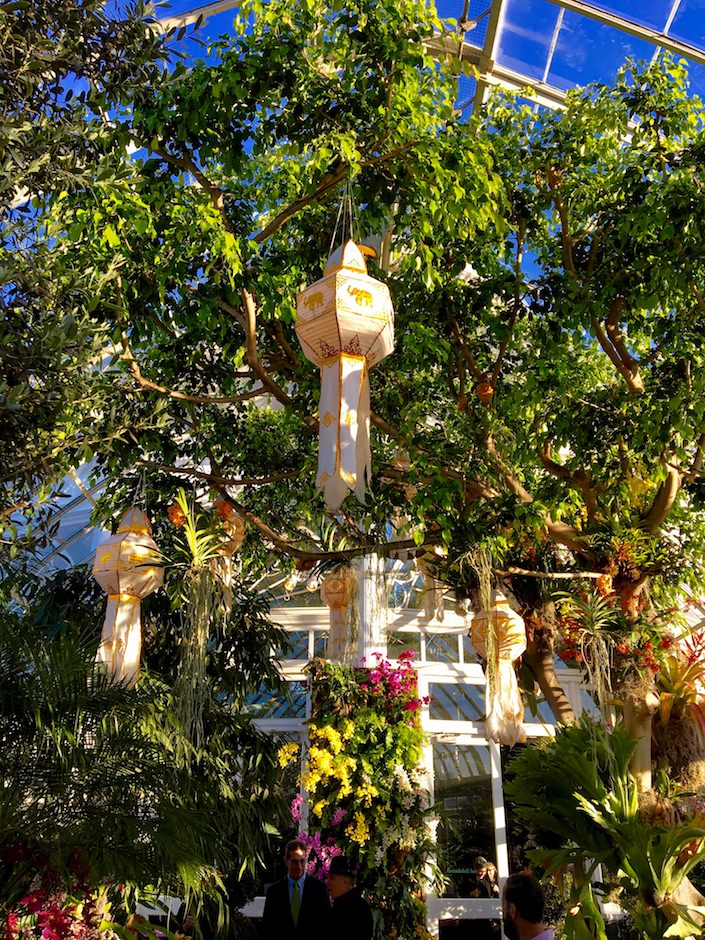 Sky Lanterns at the NYBG 2017 Orchid Show