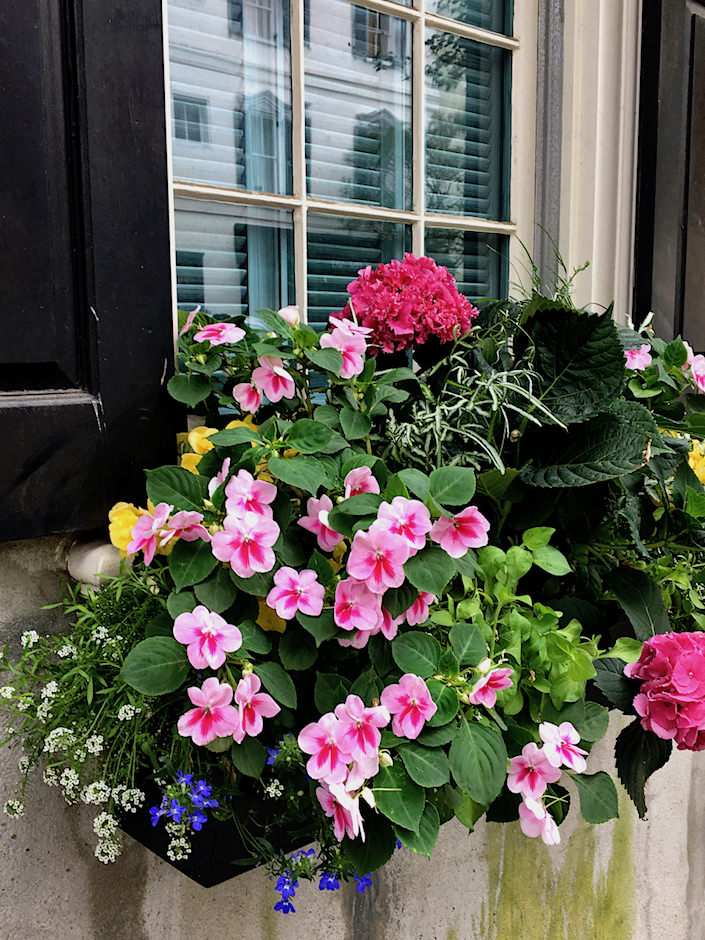 Charleston window box