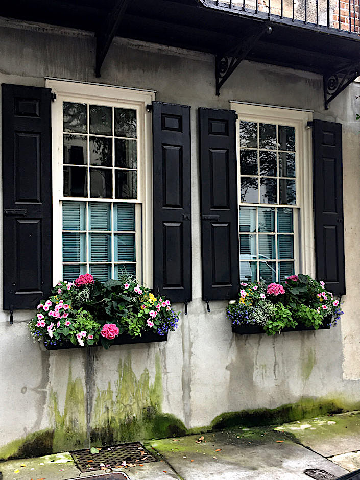 Charleston window boxes 