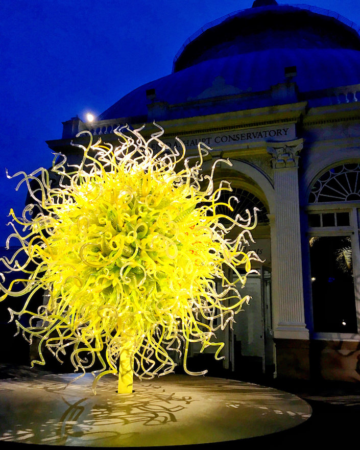 Chihuly at the NYBG