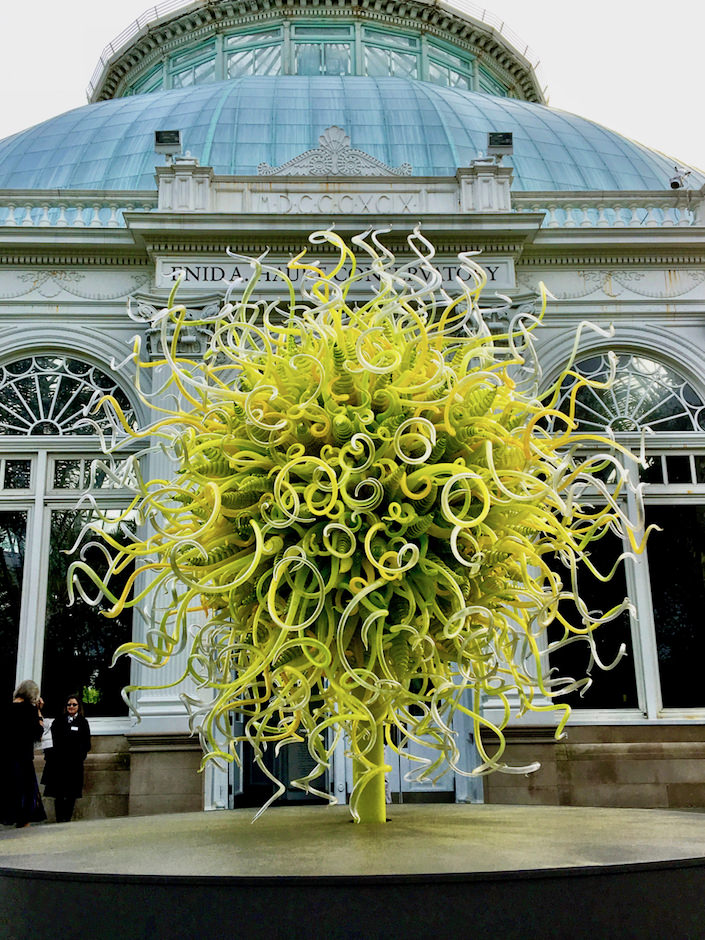 Dale Chihuly at the NYBG