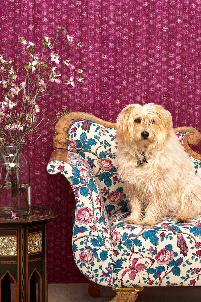 Schuyler Samperton dog's tricky and her new textile line-1