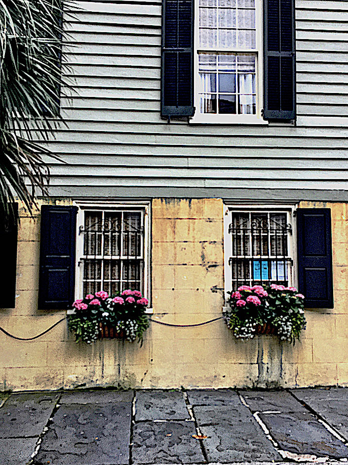 historic Charleston window boxes