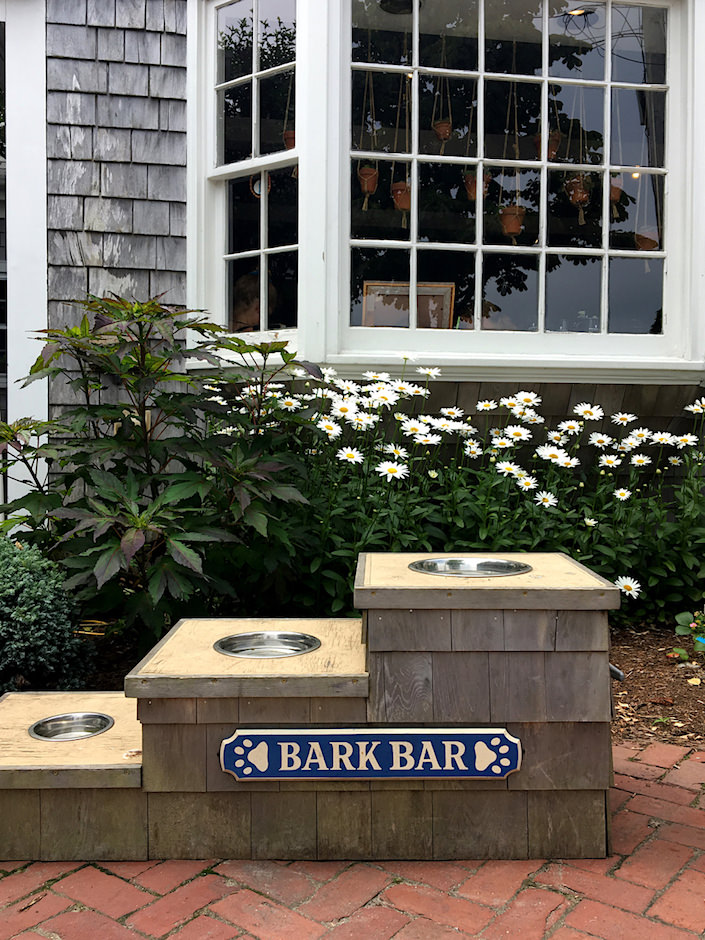 Handlebar Café Nantucket bark bar