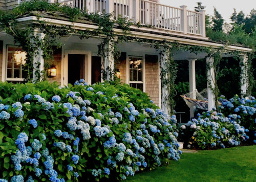 Nantucket by Design 2017