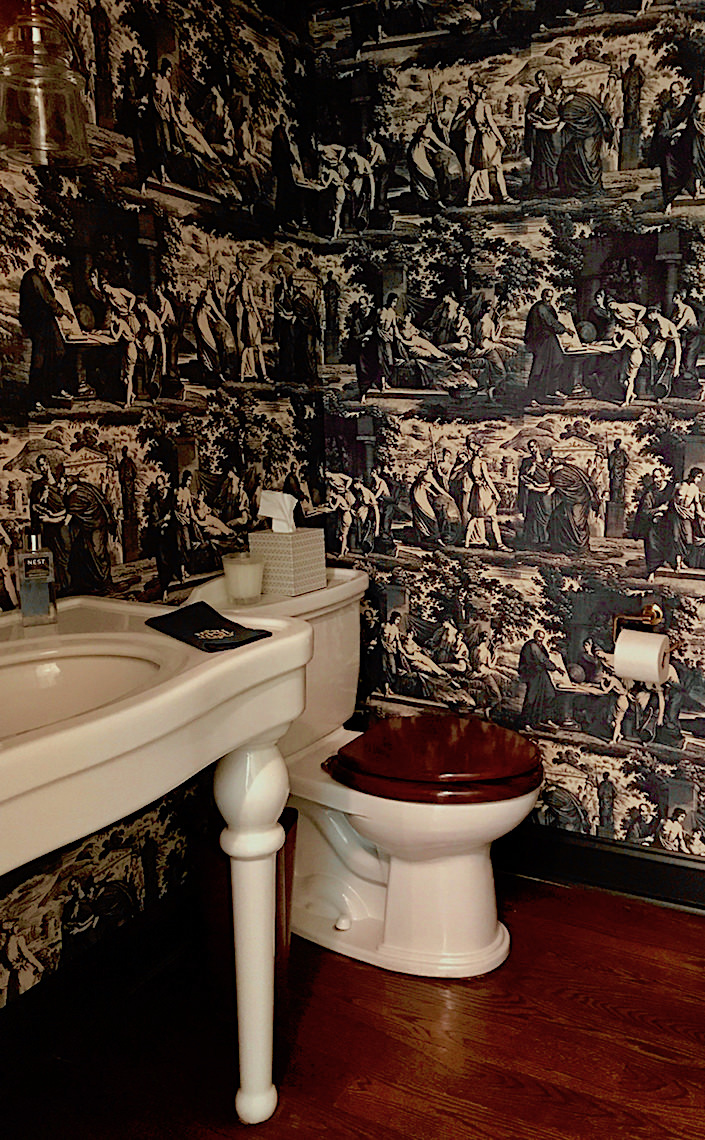 Christopher Moore Cholet toile in Quintessence powder room