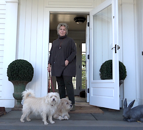 Bunny Williams and her shelter dogs