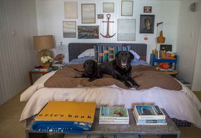 Nathan Turner and Eric Hughes' labs in At Home with Dogs and Their Designers